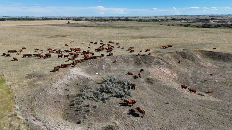 Community Event Coverage